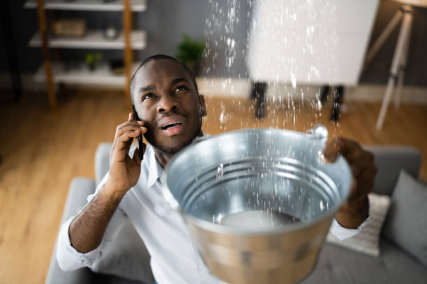 Best Water damage restoration near me  in Bellwood, PA