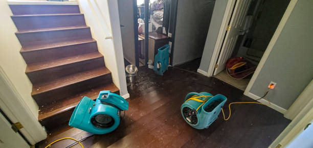 Best Residential water damage restoration  in Bellwood, PA