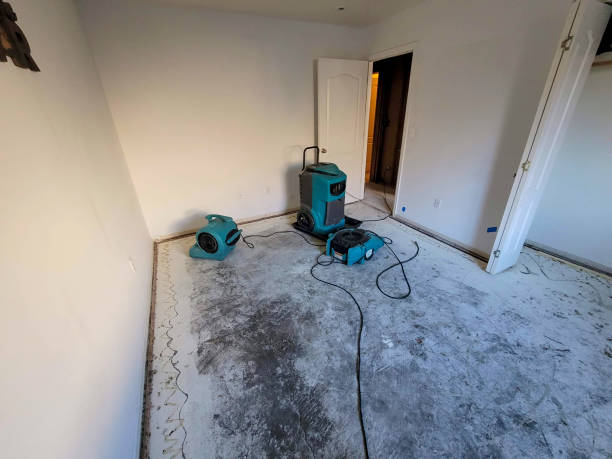 Best Commercial water damage restoration  in Bellwood, PA