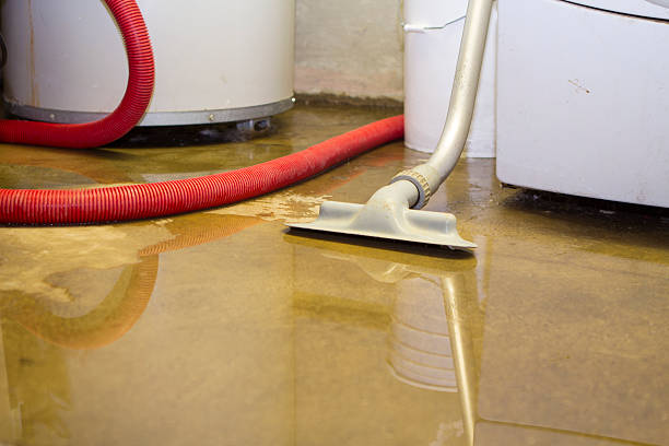 Best Sewage cleanup and water damage restoration  in Bellwood, PA