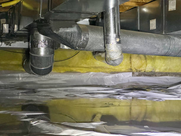 Best Flood damage cleanup  in Bellwood, PA