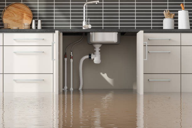 Best Water damage contractors near me  in Bellwood, PA