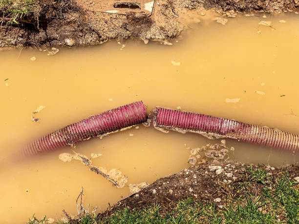 Best Carpet water damage restoration  in Bellwood, PA